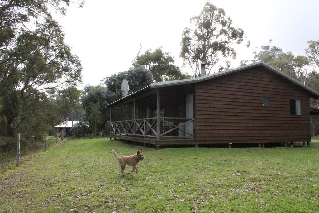 Che Sara Sara Chalets Walpole Habitación foto